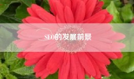 SEO的发展前景