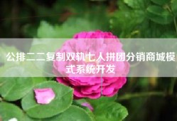 公排二二复制双轨七人拼团分销商城模式系统开发