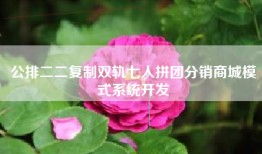 公排二二复制双轨七人拼团分销商城模式系统开发