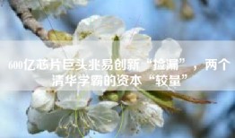 600亿芯片巨头兆易创新“捡漏”，两个清华学霸的资本“较量”