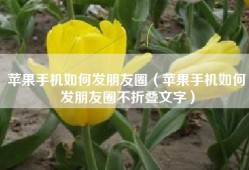 苹果手机如何发朋友圈（苹果手机如何发朋友圈不折叠文字）