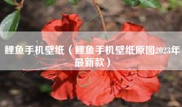 鲤鱼手机壁纸（鲤鱼手机壁纸原图2023年最新款）