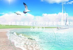 oppo手机老年模式（OPPO手机老年模式怎么退出）