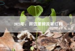 2023年，微信重磅流量红利