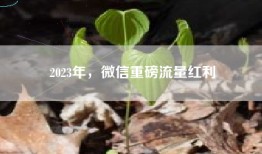 2023年，微信重磅流量红利
