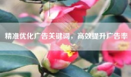 精准优化广告关键词，高效提升广告率