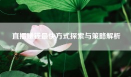 直播赚钱最快方式探索与策略解析