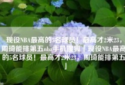 现役NBA最高的5名球员！最高才2米23，周琦能排第五nba手机搜狐「现役NBA最高的5名球员！最高才2米23，周琦能排第五」
