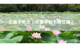 天翼手机卡（天翼手机卡槽在哪）