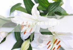 手机采购（手机采购卿）