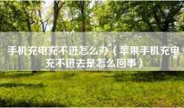 手机充电充不进怎么办（苹果手机充电充不进去是怎么回事）