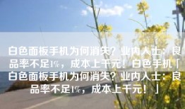 白色面板手机为何消失？业内人士：良品率不足1%，成本上千元！白色手机「白色面板手机为何消失？业内人士：良品率不足1%，成本上千元！」