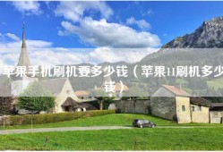 苹果手机刷机要多少钱（苹果11刷机多少钱）