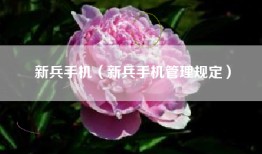 新兵手机（新兵手机管理规定）