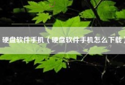 硬盘软件手机（硬盘软件手机怎么下载）