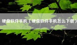硬盘软件手机（硬盘软件手机怎么下载）