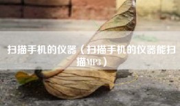 扫描手机的仪器（扫描手机的仪器能扫描MP3）