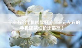 一千左右的手机哪款好（一千元左右的手机哪款性价比最高）