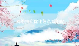网络推广优化怎么做的呢