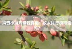 抖音小游戏赚钱真相：收入排行榜可信吗？