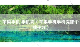 苹果手机 手机壳（苹果手机手机壳哪个牌子好）