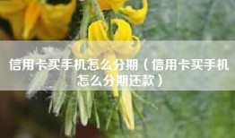信用卡买手机怎么分期（信用卡买手机怎么分期还款）