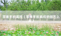 苹果手机离线（苹果手机离线地图怎么弄）