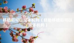 移植后可以玩手机吗（胚胎移植后可以玩手机吗）