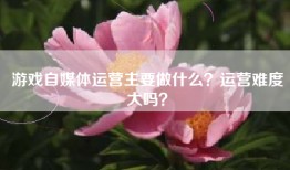 游戏自媒体运营主要做什么？运营难度大吗？