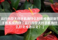 运行内存大对手机有什么好处或者坏处？手机系统内存「运行内存大对手机有什么好处或者坏处？」