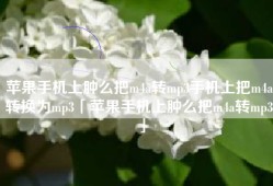 苹果手机上肿么把m4a转mp3手机上把m4a转换为mp3「苹果手机上肿么把m4a转mp3」