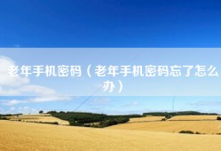 老年手机密码（老年手机密码忘了怎么办）