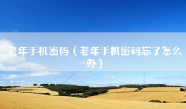 老年手机密码（老年手机密码忘了怎么办）