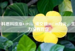 科思科技涨0.49%，成交额3047.09万元，主力没有控盘