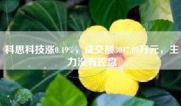 科思科技涨0.49%，成交额3047.09万元，主力没有控盘