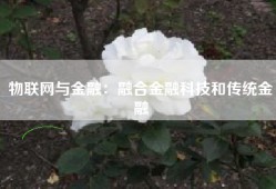 物联网与金融：融合金融科技和传统金融