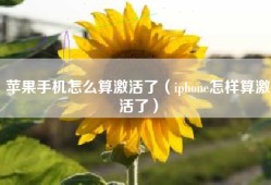 苹果手机怎么算激活了（iphone怎样算激活了）