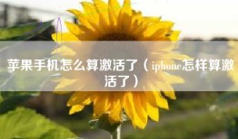 苹果手机怎么算激活了（iphone怎样算激活了）