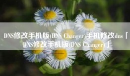 DNS修改手机版(DNS Changer)手机修改dns「DNS修改手机版(DNS Changer)」