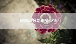 雅思6.5分培训多少钱