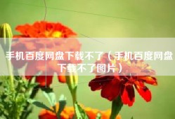 手机百度网盘下载不了（手机百度网盘下载不了图片）