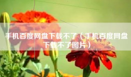 手机百度网盘下载不了（手机百度网盘下载不了图片）