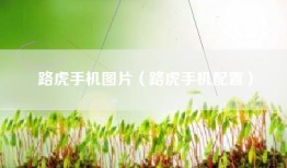 路虎手机图片（路虎手机配置）
