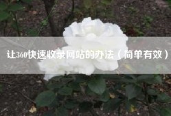让360快速收录网站的办法（简单有效）