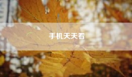 手机天天看