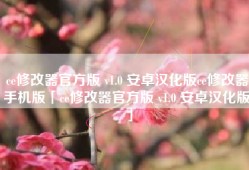 ce修改器官方版 v1.0 安卓汉化版ce修改器手机版「ce修改器官方版 v1.0 安卓汉化版」
