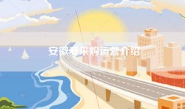 安徽爱采购运营介绍