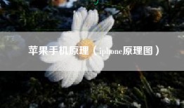 苹果手机原理（iphone原理图）
