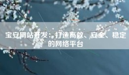 宝安网站开发：打造高效、安全、稳定的网络平台