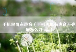 手机黑屏有声音（手机黑屏有声音不亮屏怎么办oppo）